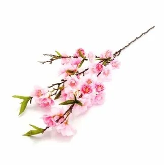 W113-200RS GALHO CEREJEIRA  72CM