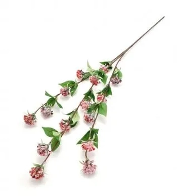 W113-216PK GALHO FRUTO 90CM