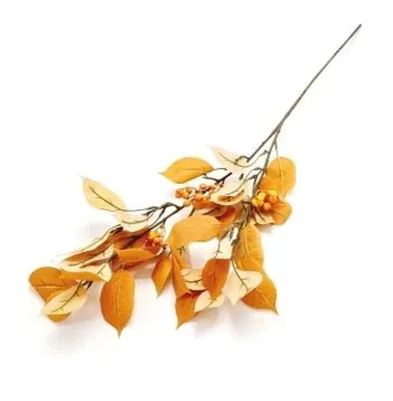 W113-246LJ GALHO CEREJ NEGRA X2 90CM