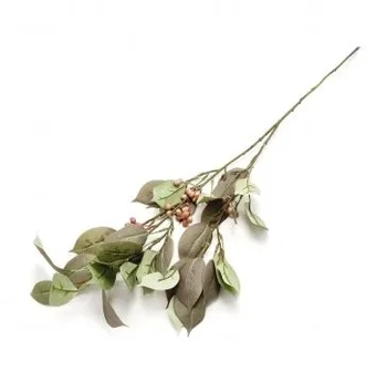 W113-246MR GALHO CEREJ NEGRA X2 90CM