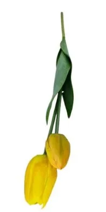W113-268AM GALHO DE TULIPA X2 56CM