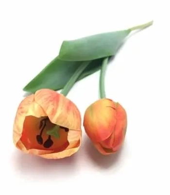 W113-268LJ GALHO DE TULIPA X2 56CM