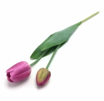 W113-268LL GALHO DE TULIPA X2 56CM