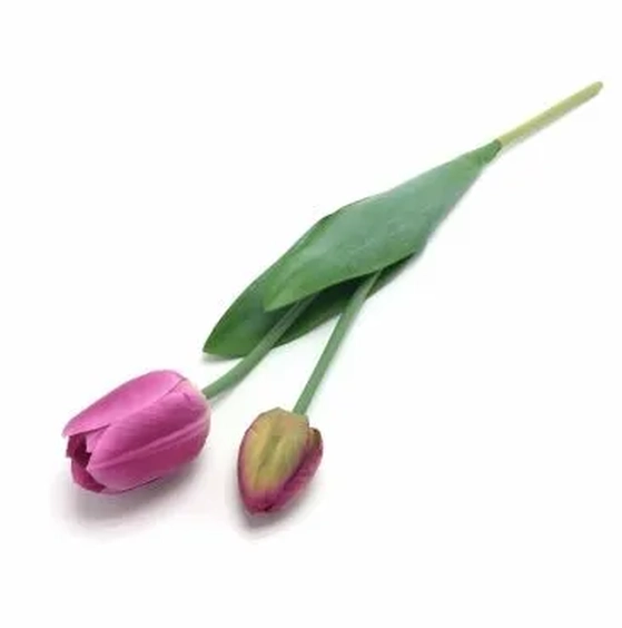 W113-268PK GALHO DE TULIPA X2 56CM