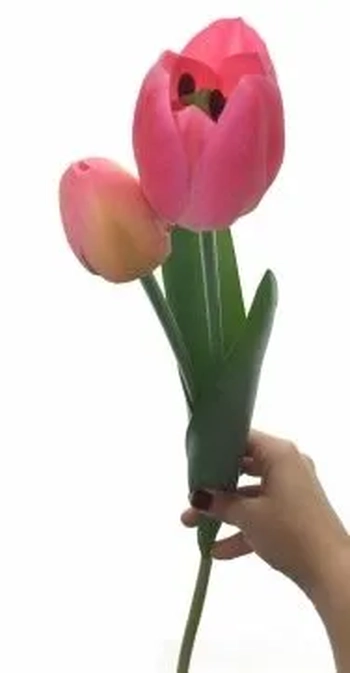 W113-268RS GALHO DE TULIPA X2 56CM