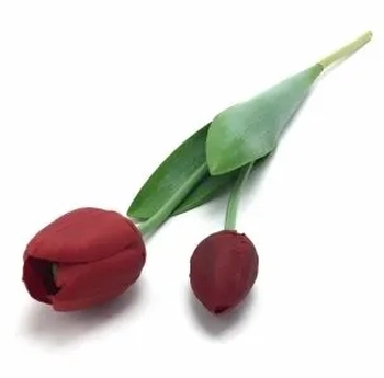 W113-268VM GALHO DE TULIPA X2 56CM