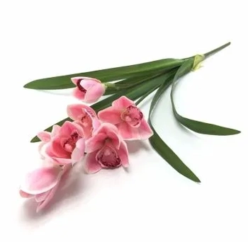 W113-270RS GA ORQ CYMBI FOLHA X2 50CM