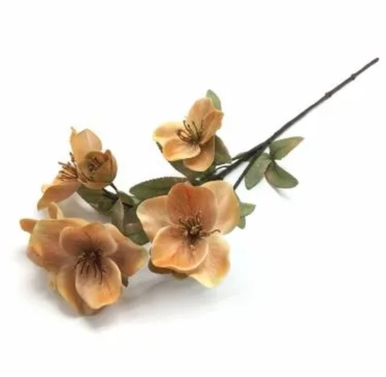 W113-276LJ GALHO MAGNOLIA  X5