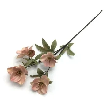 W113-276RS GALHO MAGNOLIA  X5