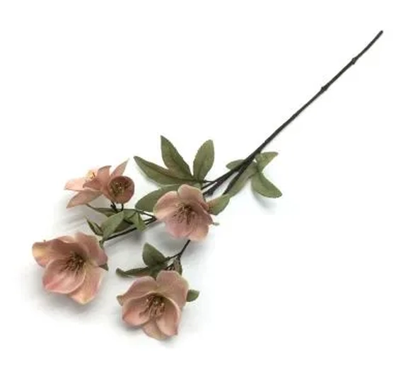 W113-276VM GALHO MAGNOLIA  X5