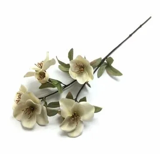 W113-276W GALHO MAGNOLIA  X5