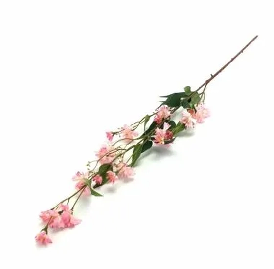 W298-182RS GALHO CHICORIA X4