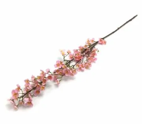 W522-06RS GAL DE PESSEGUEIRA 1,05CM