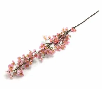 W522-06RS GAL DE PESSEGUEIRA 1,05CM