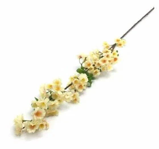 W522-07SL GAL DE CEREJEIRA X4 105CM