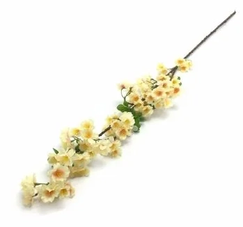 W522-07SL GAL DE CEREJEIRA X4 105CM