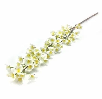 W522-06W GAL DE PESSEGUEIRA 1,05CM