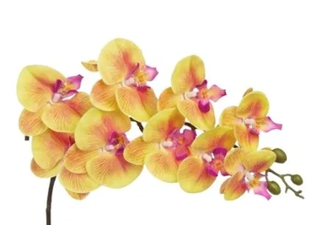 W300-182AM GALHO DE ORQUIDEA X9 92CM