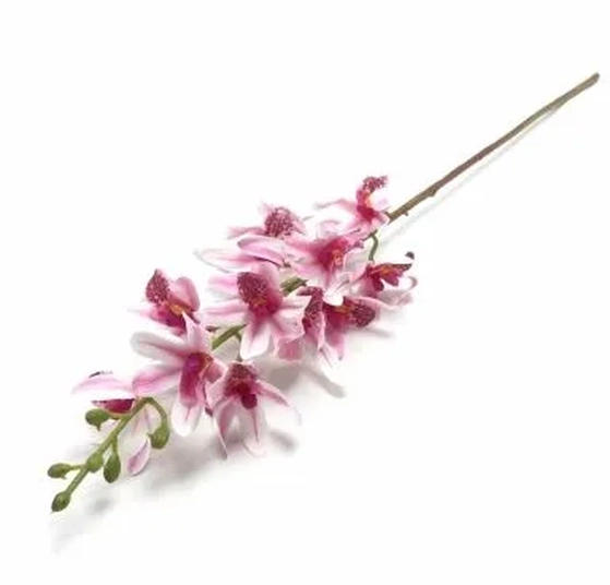 W530-01RS GALHO ORQ.DENPHAL X15 79CM