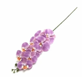 W300-182PK GALHO DE ORQUIDEA X9 92CM