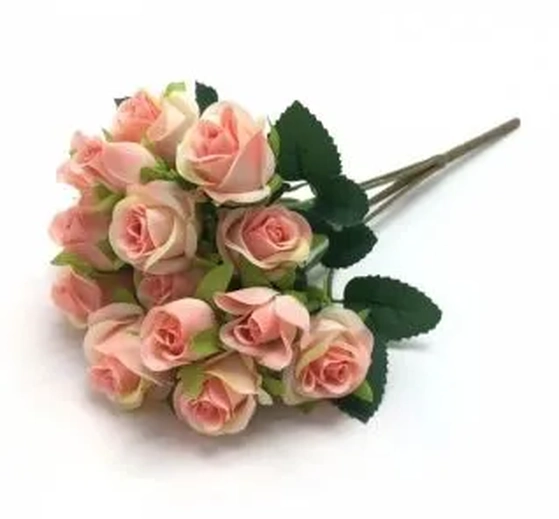 W532-17RS MINI BQ ROSA X5 30CM