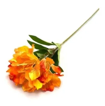 W534-10LJ GALHO ASTROMELIA 60CM