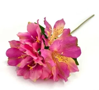 W534-10PK GALHO ASTROMELIA 60CM