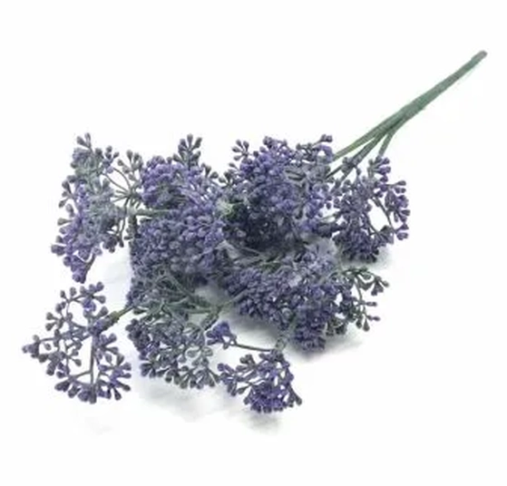 W418-30 BUQUE COMPLEMENT ROXO X5