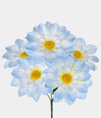 29357-001 BUQUE DALIA X5 GD AZUL