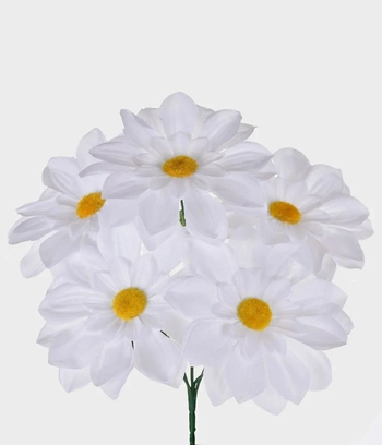 29357-008 BUQUE DALIA X5 GD BRANCO