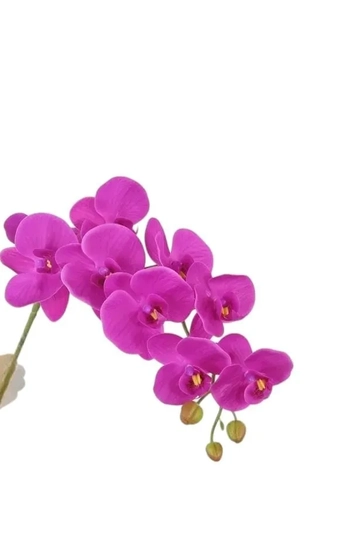 03868 ORQUIDEA TOQUE REAL X9 1.00MT