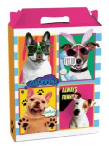 13002371 CAIXA MALETA RET VERT P/PRESENTE M PETS C/10