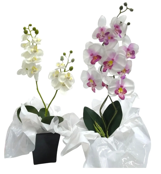 B03/05 ARRANJO DE ORQUIDEA