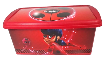 8132 CAIXA MIRACULOUS 42L