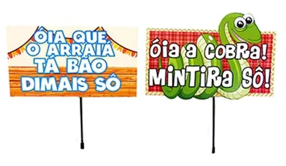 474 PLACA JUNINA C/10 SORTIDA