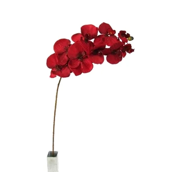 03780 ORQUIDEA PHALAENOPSIS VERMELHA X10