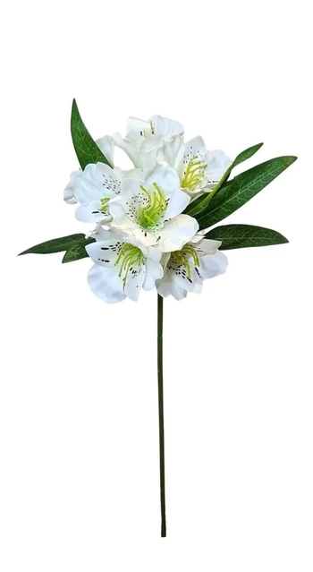 08608 GALHO DE ASTROMELIA X7