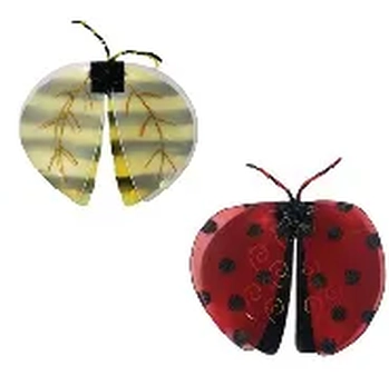 MOD67 ASA JOANINHA/ABELINHA