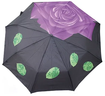 5315 SOMBRINHA COLORIDA