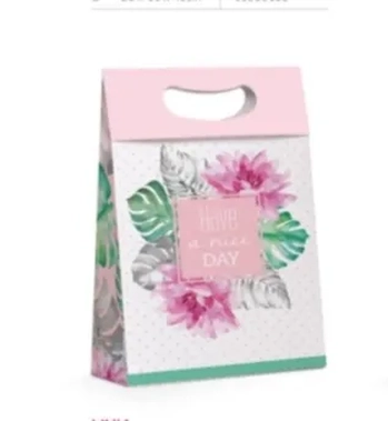 13002320 CAIXA P/PRESENTE PLUS M 22X9X32 LIVIA C/10