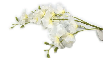 AM-1637 GALHO DE FLOR DE NARCISO