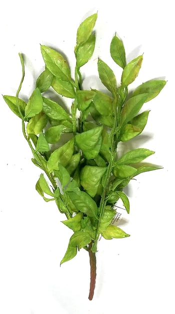 W508-07 BUQUE FOLHAGEM VERDE C/7