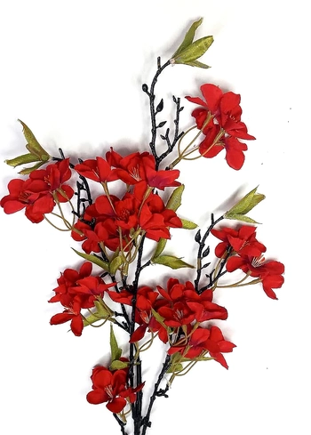 AA-0036VM GALHO DE MACIEIRA PRIMAVERA