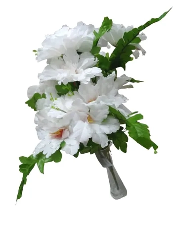 07552 BUQUE DE PAPOULA C/12