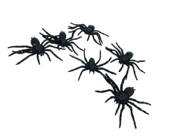 MOD-6407/NYR6407 ARANHA DE PLASTICO  C/6