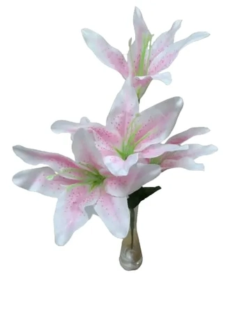 07256 LIRIO TIGRADO X5