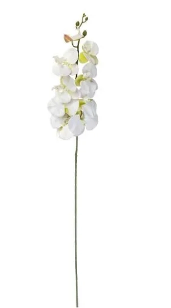 03819 ORQUIDEA X10 96CM