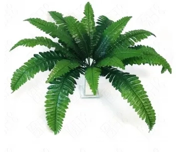 E/0691 SAMAMBAIA X18