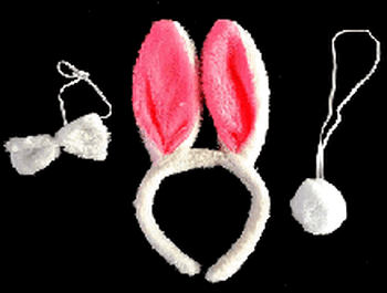 MOD-426/F-16 KIT COELHINHA C/03PCS