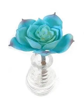 06702 SUCULENTA 14CM